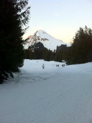 Terrasses Du Mont Blanc Apartman Le Praz de Lys Kültér fotó